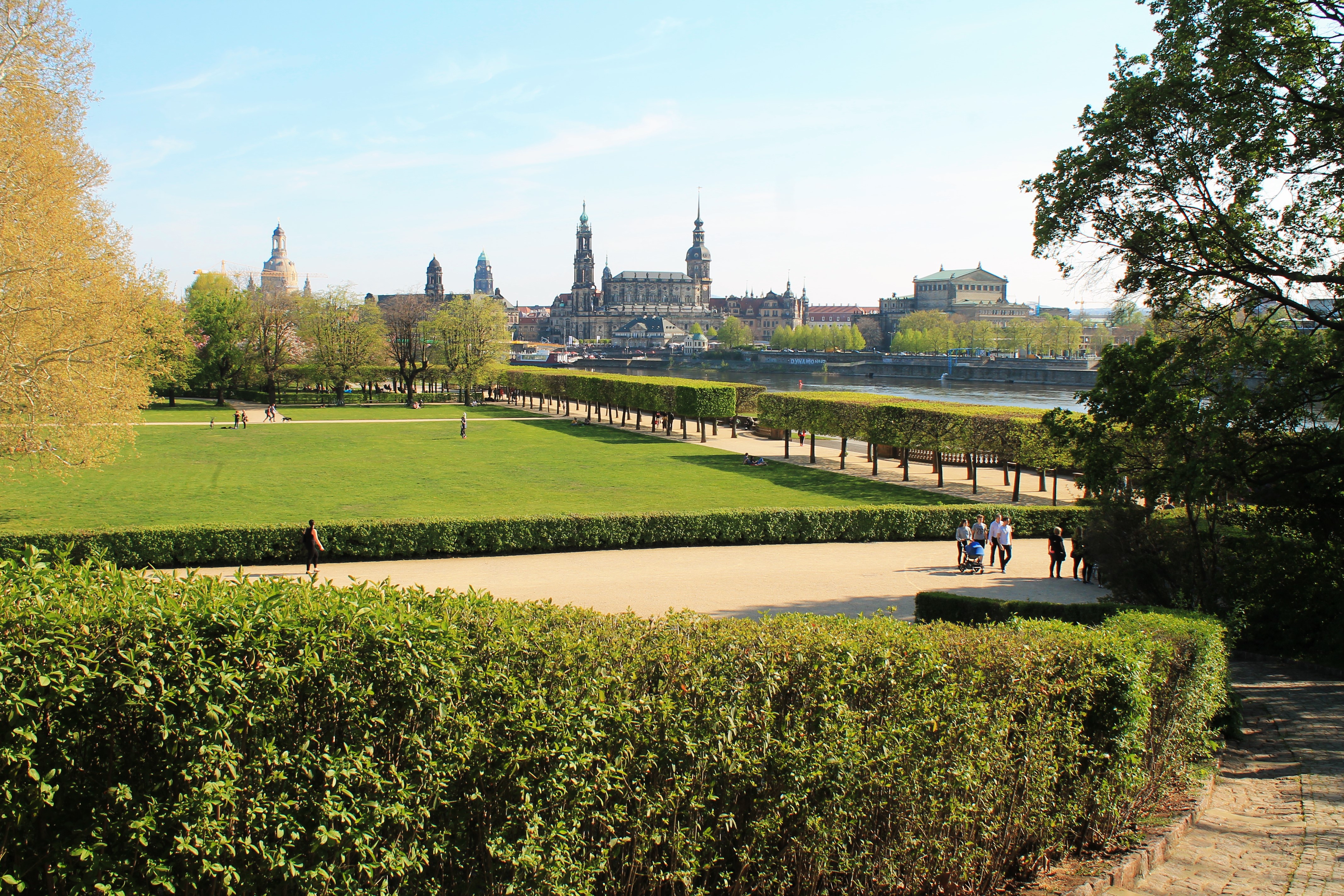 Dresden an der Elbe